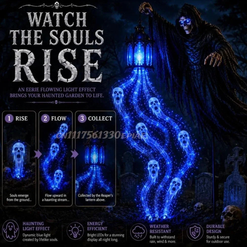 https://cdn.dropmagic.ai/medias/78cf82fa-9404-4b82-948e-c1c5f5bd80ee.webp